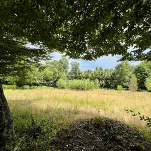 Gorski kotar/CASA VERTA /mjesto gdje priroda usporava vrijeme