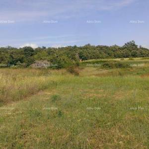 Građevinsko zemljište 2.539 m² – Smoljanci, Svetvinčenat
