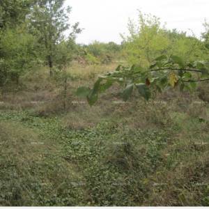 Građevinsko zemljište Ližnjan