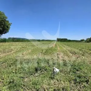 GRAĐEVINSKO ZEMLJIŠTE NA MIRNOJ LOKACIJI U NOVOJ GRADIŠKI