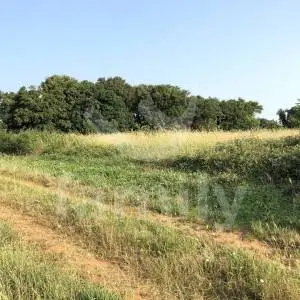 GRAĐEVINSKO ZEMLJIŠTE NA MIRNOJ LOKACIJI