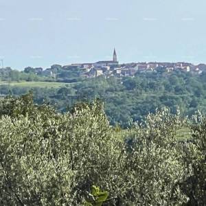 Građevinsko zemljište s pogledom na more, vinograde i Alpe (551 m²), Buje