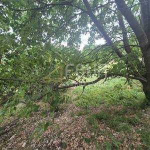 Hreljin, zemljište 876m2, pogled na more
