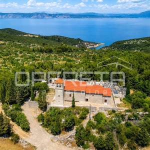 Hvar, Zastražišće – maslinik i lavanda na 4.600 m²