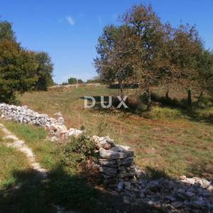 ISTRA, BALE - Idealno građevinsko zemljište 518m²
