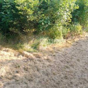 Istra, Buzet, građevinsko zemljište, 1.441m2