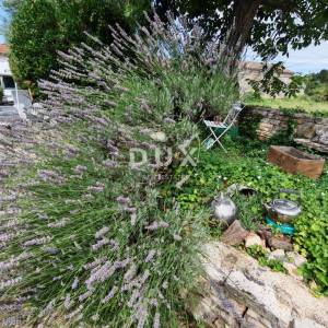 ISTRA, GLAVANI - Dvije autohtone kamene kuće + PP!
