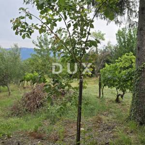 ISTRA, LABIN – Kućica u prirodi, potpuna osama s velikom okućnicom