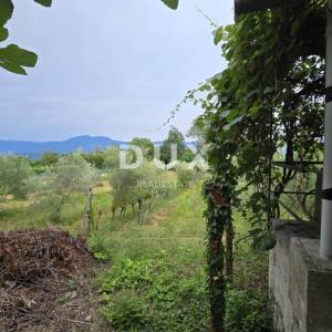 ISTRA, LABIN – Kućica u prirodi, potpuna osama s velikom okućnicom