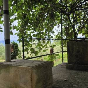 ISTRA, LABIN – Kućica u prirodi, potpuna osama s velikom okućnicom