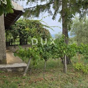 ISTRA, LABIN – Kućica u prirodi, potpuna osama s velikom okućnicom