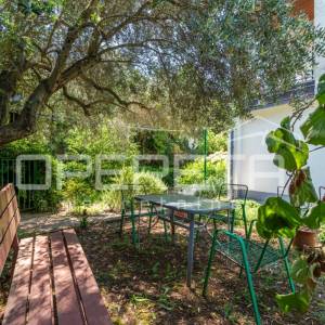 Istra – okolica Umaga, stan 200 m od mora s vrtom
