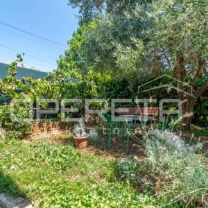 Istra – okolica Umaga, stan 200 m od mora s vrtom
