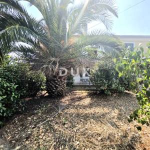 Istra, Pomer, Starina spremna za obnovu, 120m2, pogled na more