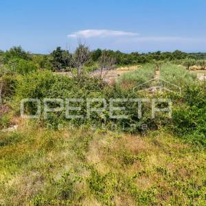 Istra, Poreč okolica- Građevinsko zemljište s infrastrukturom