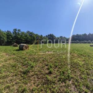 Istra, Svetvinčenat - okolica, poljoprivredno zemljište, 6122m2