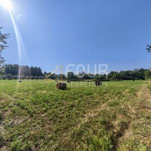 Istra, Svetvinčenat - okolica, poljoprivredno zemljište, 6122m2