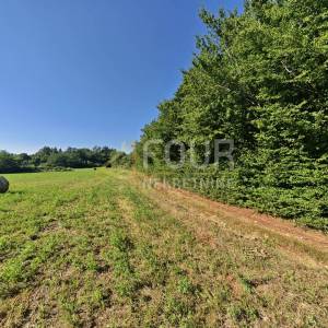 Istra, Svetvinčenat - okolica, poljoprivredno zemljište, 6122m2