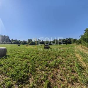 Istra, Svetvinčenat - okolica, poljoprivredno zemljište, 6122m2