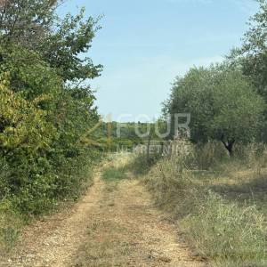 Istra, Vodnjan, gospodarska zgrada, 100m2