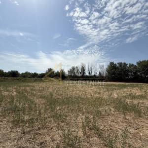 Istra, Vodnjan, gospodarska zgrada, 100m2