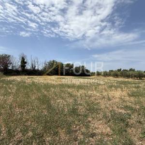 Istra, Vodnjan, gospodarska zgrada, 100m2