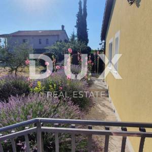 ISTRA, ŽMINJ – Imanje na 9.032 m², tri samostojeće kuće, dva bazena 