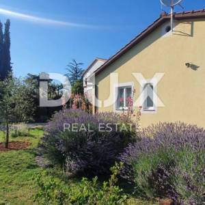 ISTRA, ŽMINJ – Imanje na 9.032 m², tri samostojeće kuće, dva bazena 