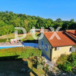 ISTRA, ŽMINJ – Imanje na 9.032 m², tri samostojeće kuće, dva bazena 