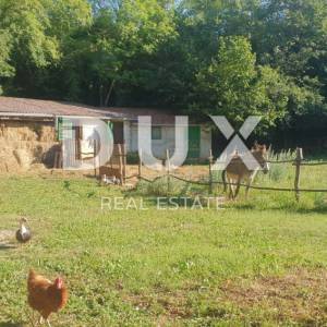 ISTRA, ŽMINJ – Imanje na 9.032 m², tri samostojeće kuće, dva bazena 