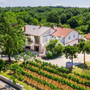 ISTRA, ŽMINJ – Imanje na 9.032 m², tri samostojeće kuće, dva bazena 