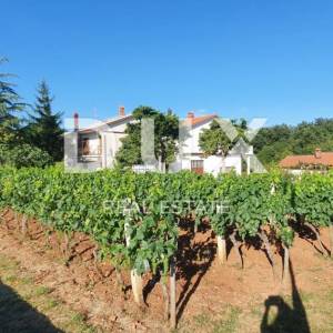 ISTRA, ŽMINJ – Imanje na 9.032 m², tri samostojeće kuće, dva bazena 