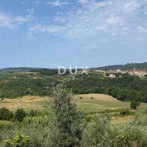 ISTRA,GROŽNJAN - Građevinsko zemljište s predivnim pogledom i maslinama