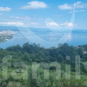 IZUZETNA INVESTICIJSKA PRILIKA - 6 KUĆA S POGLEDOM NA MORE I BAZENOM