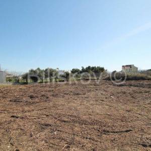 Kaštel Štafilić, građevinsko zemljiste M5, 3896m2, prodaja