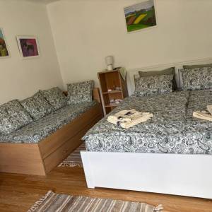 Kompletno adaptirana kuća + potencijal potkrovlja, Krnjak