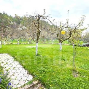 KUĆA NA TOP LOKACIJI U VELIKOJ SA VELIKIM POTENCIJALOM