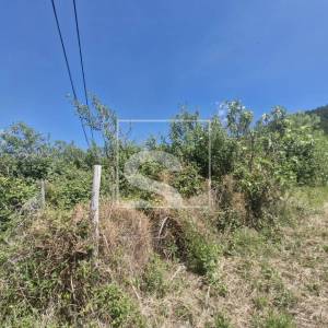 Kuća za adaptaciju u okolici Grimalde