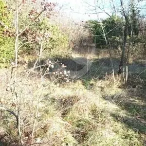 LIJEPO POLJOPRIVREDNO ZEMLJIŠTE U BLIZINI KRNICE