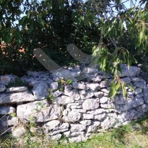 LIJEPO POLJOPRIVREDNO ZEMLJIŠTE U BLIZINI VODNJANA