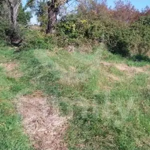 LIJEPO POLJOPRIVREDNO ZEMLJIŠTE U BLIZINI VODNJANA