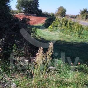 LIJEPO POLJOPRIVREDNO ZEMLJIŠTE U BLIZINI VODNJANA