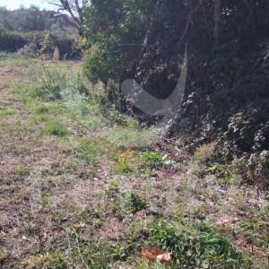 LIJEPO POLJOPRIVREDNO ZEMLJIŠTE U BLIZINI VODNJANA