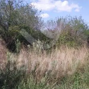 LIJEPO POLJOPRIVREDNO ZEMLJIŠTE U BLIZINI FAŽANE