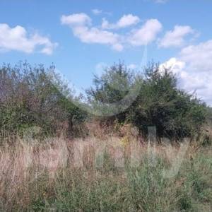 LIJEPO POLJOPRIVREDNO ZEMLJIŠTE SA MASLINIKOM OD 80 STABALA