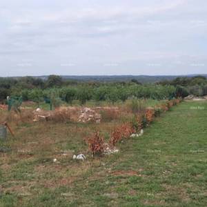 Marčana – građevinsko zemljište 1.200 m²