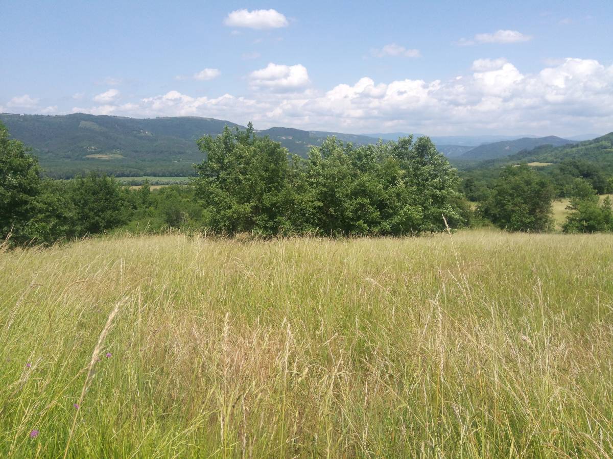 Motovun veliko zemljište, super lokacija
