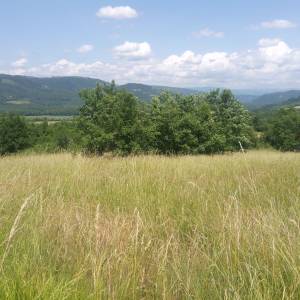 Motovun veliko zemljište, super lokacija