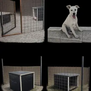 Na prodaju komplet za psa – box, kućica i ženka 