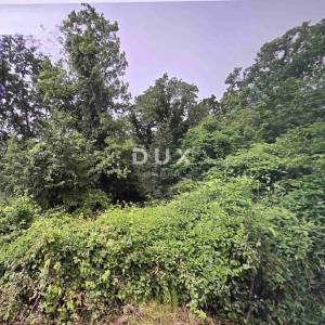 OPATIJA, BREGI - Mir, priroda i pogled na more, 1200m2